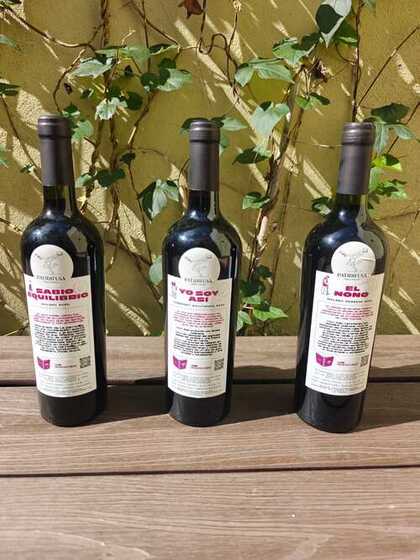 Patidifusa — Foto 2