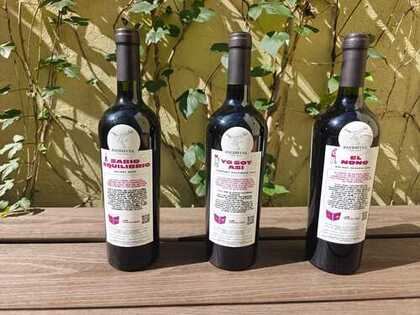 Patidifusa — Foto 5